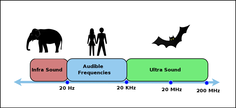 NCERT Summary: Sound | Science & Technology for UPSC CSE