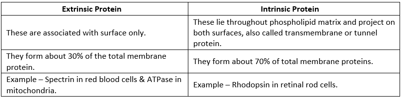 NCERT Summary: Cell: The Unit of Life | Science & Technology for UPSC CSE