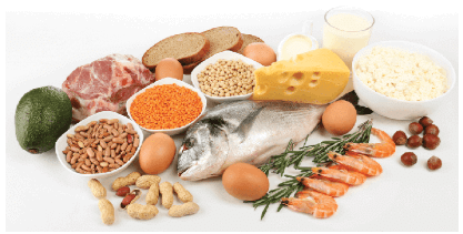 Nutrition, Digestion | Science & Technology for State PSC Exams - BPSC (Bihar)