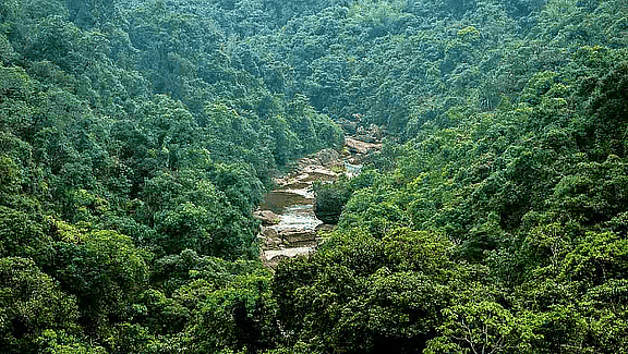 Shankar IAS Summary: Indian Forest | Famous Books for UPSC Exam (Summary & Tests)