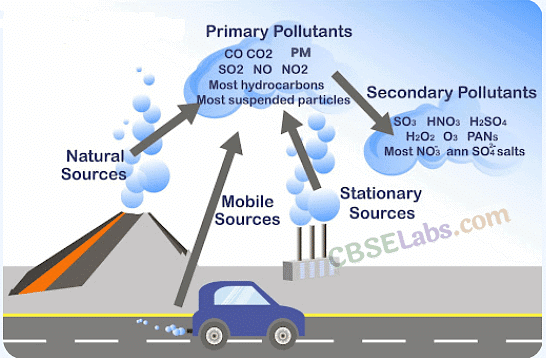 NCERT Summary: Environmental Issues | Geography for UPSC CSE