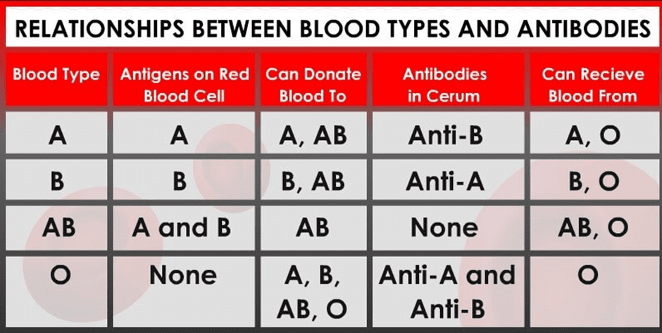 Blood Groups