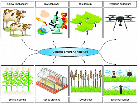 Resilient changes for Climate Smart agriculture