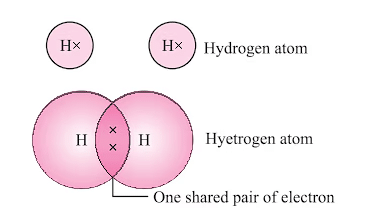 NCERT Summary: Carbon & Its Compounds | Science & Technology for UPSC CSE