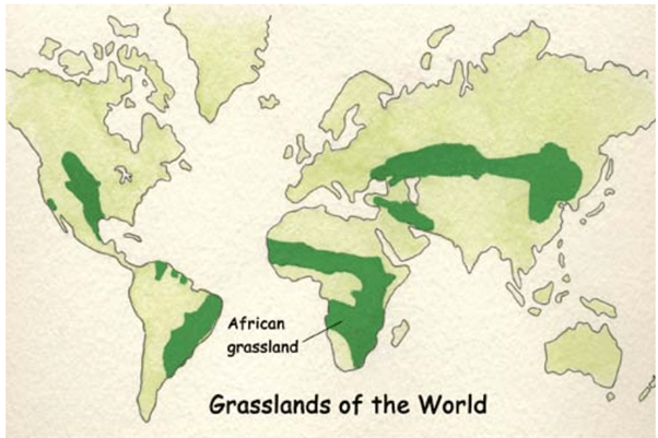 Grasslands of the World | Geography for UPSC CSE