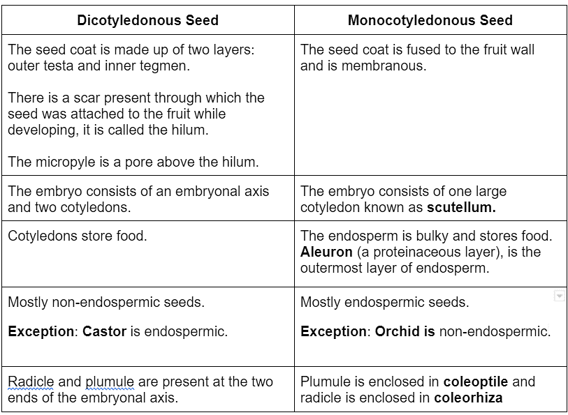 NCERT सारांश: पुष्पीय पौधों की रूपविज्ञान (Morphology) | विज्ञान और प्रौद्योगिकी (Science & Technology) for UPSC CSE