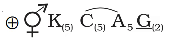 NCERT सारांश: पुष्पीय पौधों की रूपविज्ञान (Morphology) | विज्ञान और प्रौद्योगिकी (Science & Technology) for UPSC CSE