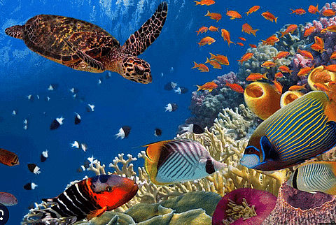 Shankar IAS Summary: Environmental Pollution | Famous Books for UPSC Exam (Summary & Tests)