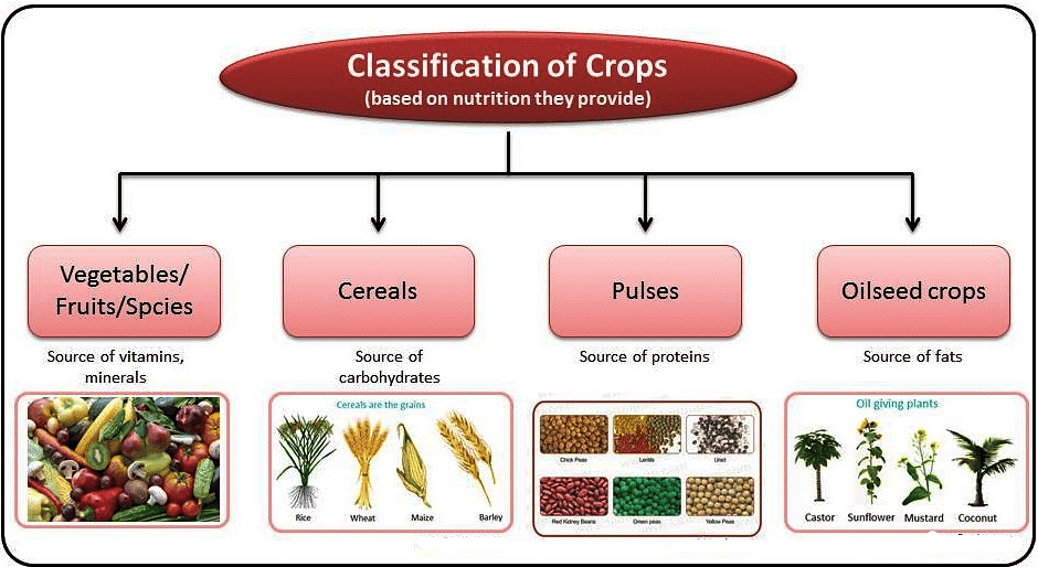Shankar IAS Summary: Agriculture | Famous Books for UPSC Exam (Summary & Tests)