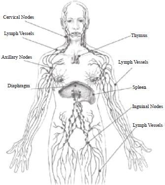 NCERT Summary: Summary of Biology - 3 | Science & Technology for UPSC CSE