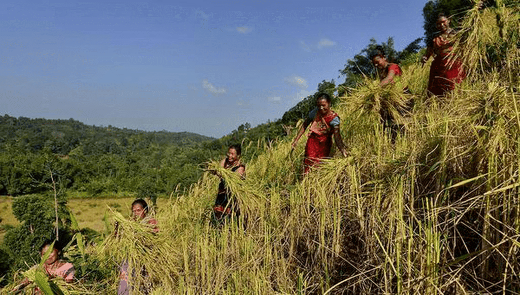 NCERT Summary: Tribals, Dikus and the Vision of a Golden Age (Class 8) | History for UPSC CSE
