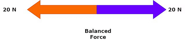 NCERT Summary: Force and Laws of Motion | Science & Technology for UPSC CSE