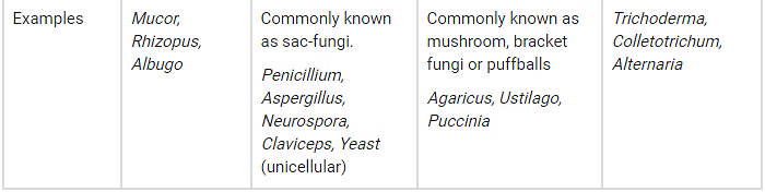 NCERT Summary: Biological Classification | Science & Technology for UPSC CSE