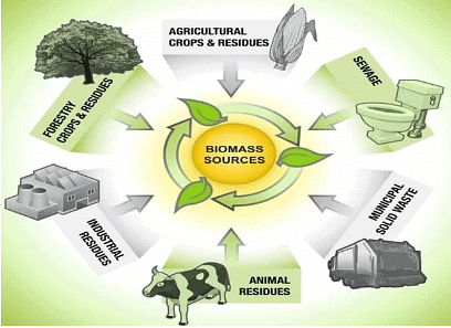 Biomass Sources