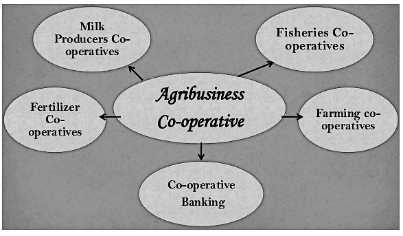 Operation Flood & Cooperatives | Post Independence History for UPSC Mains