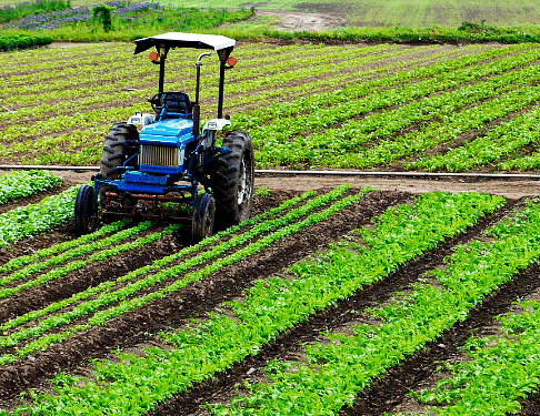 Shankar IAS Summary: Agriculture | Famous Books for UPSC Exam (Summary & Tests)