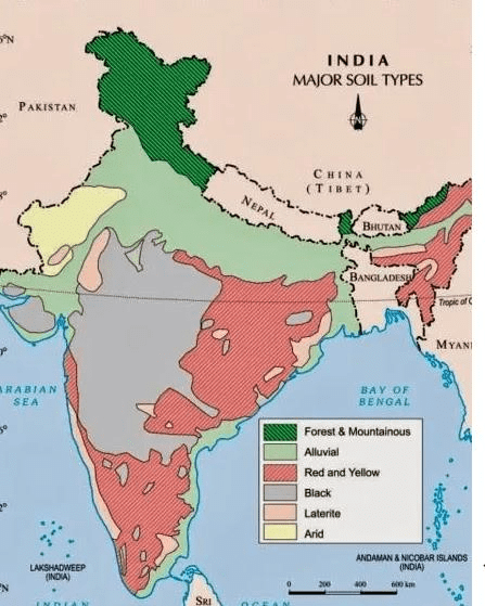 जंगल और पहाड़ की मिट्टी