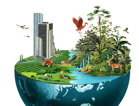 Shankar IAS Summary: Environmental Impact Assessment - 3 | Famous Books for UPSC Exam (Summary & Tests)
