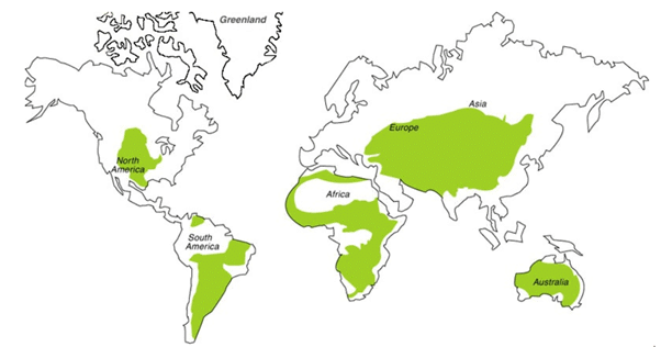Natural grasslands of the world