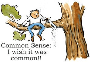 NCERT Summary: Sociology and Society (Class 11) | Old & New NCERTs for IAS Preparation (Must Read) - UPSC