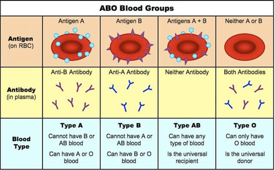 Blood Group