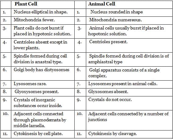 NCERT Summary: Summary of Biology - 1 | Science & Technology for UPSC CSE