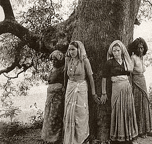 Shankar IAS Summary: Indian Forest | Famous Books for UPSC Exam (Summary & Tests)