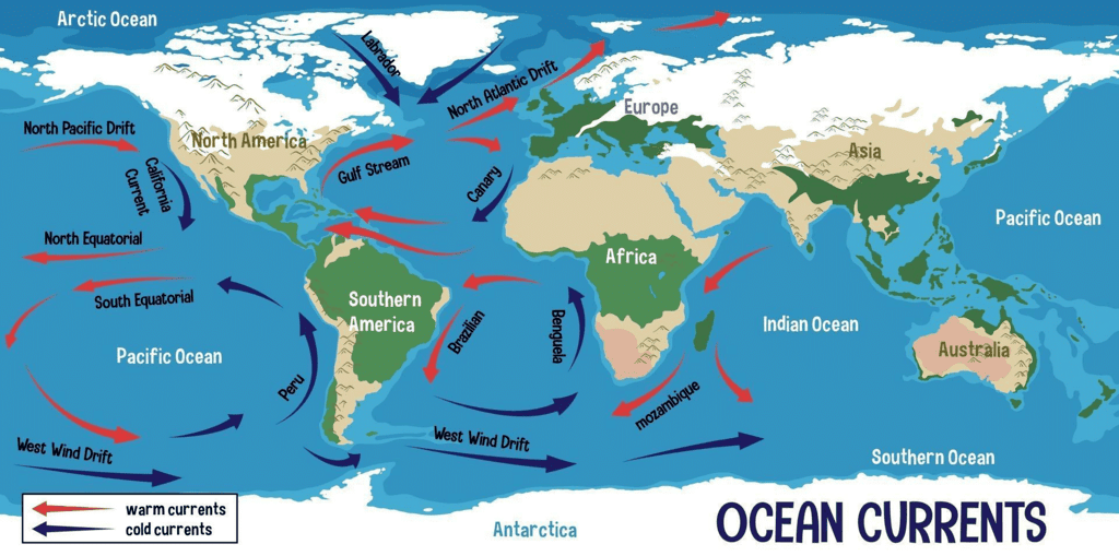 NCERT Summary: Movements of Ocean Water | Geography for UPSC CSE