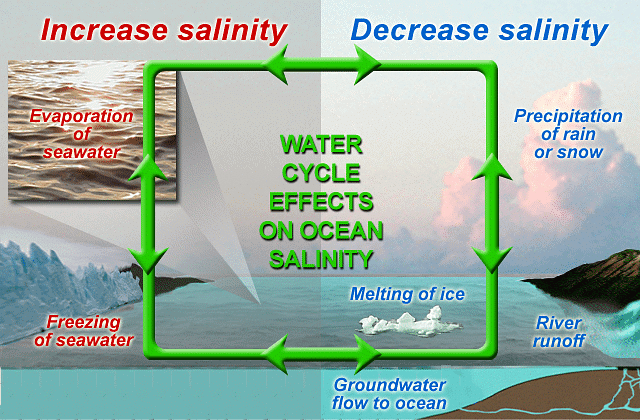 NCERT Summary: Water(Oceans) | Geography for UPSC CSE