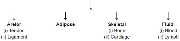 NCERT Summary: Summary of Biology - 1 | Science & Technology for UPSC CSE
