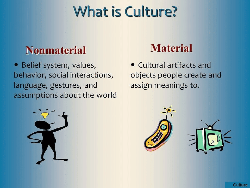 NCERT Summary: Culture and Socialisation (Class 11) | Old & New NCERTs for IAS Preparation (Must Read) - UPSC