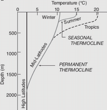 Ocean Salinity | Geography for UPSC CSE