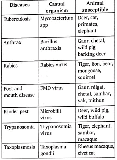 Disease caused by different animals