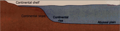 Ocean Floor - UPSC