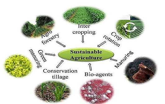 Shankar IAS Summary: Agriculture | Famous Books for UPSC Exam (Summary & Tests)