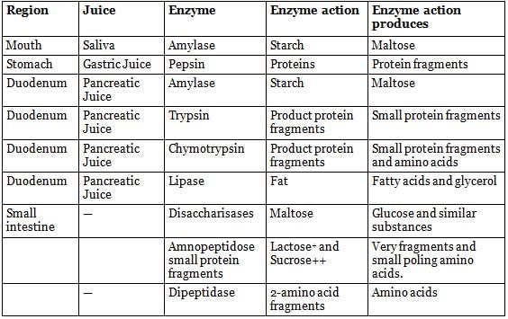 NCERT Summary: Summary of Biology - 3 | Science & Technology for UPSC CSE
