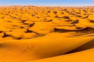  डिपेंडेंसील लैंडफॉर्म