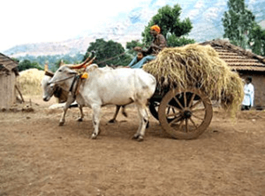 Early Vedic Age - UPSC