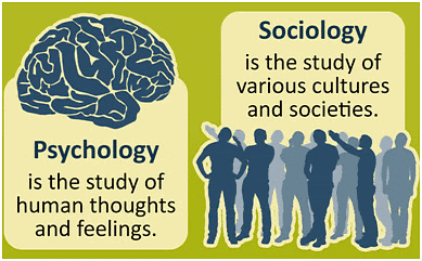 NCERT Summary: Sociology and Society (Class 11) | Old & New NCERTs for IAS Preparation (Must Read) - UPSC