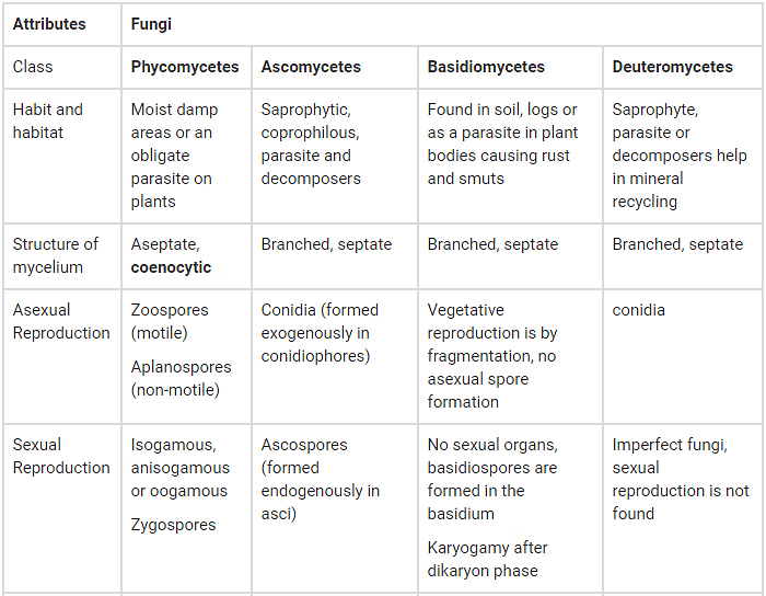 NCERT Summary: Biological Classification | Science & Technology for UPSC CSE