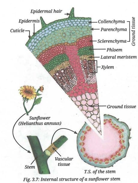 Activity 12.7: Let us compare