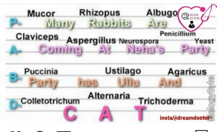 Trick to learn example of fungi - NEET
