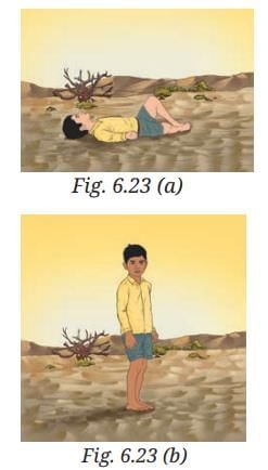 Pressure, Winds, Storms, and Cyclones NCERT Solutions | Science Curiosity Class 8 -  New NCERT