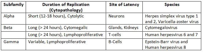 Herpesviruses and Other DNA Viruses Chapter Notes | Microbiology - NEET PG