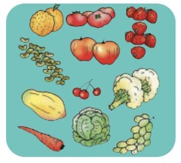 Short Answer Questions: Food for Health | EVS for Class 4 (Our Wondrous World: New NCERT)