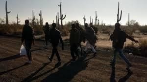 National Migration Survey in 2026 to Map Internal Mobility