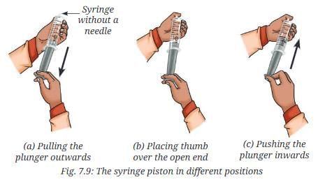 NCERT Based Activity: Particulate Nature of Matter | Science Curiosity Class 8 -  New NCERT