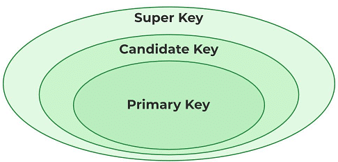 Entity, Sets & Keys | Database Management System (DBMS) - Computer Science Engineering (CSE)