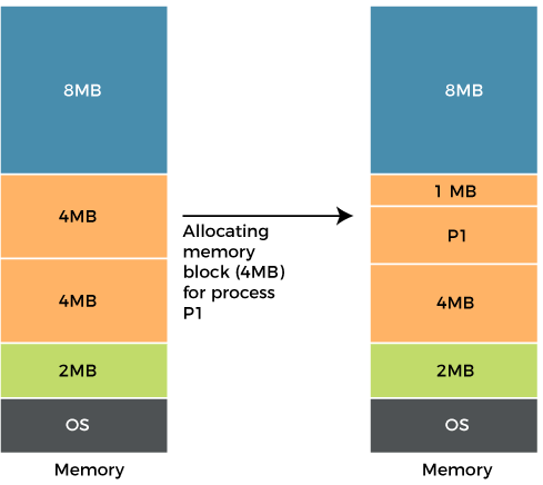 Types of Fragmentation