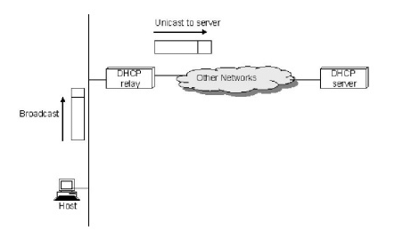 Dynamic Host Configuration Protocol (DHCP) | Computer Networks - Computer Science Engineering (CSE)